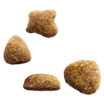 Krmivo IAMS Cat Adult Ocean Fish 2kg + 500g ZDARMA