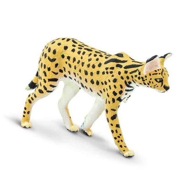 Safari® Serval