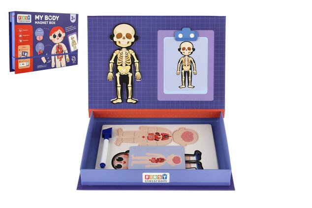 Puzzle magnetico corpo umano