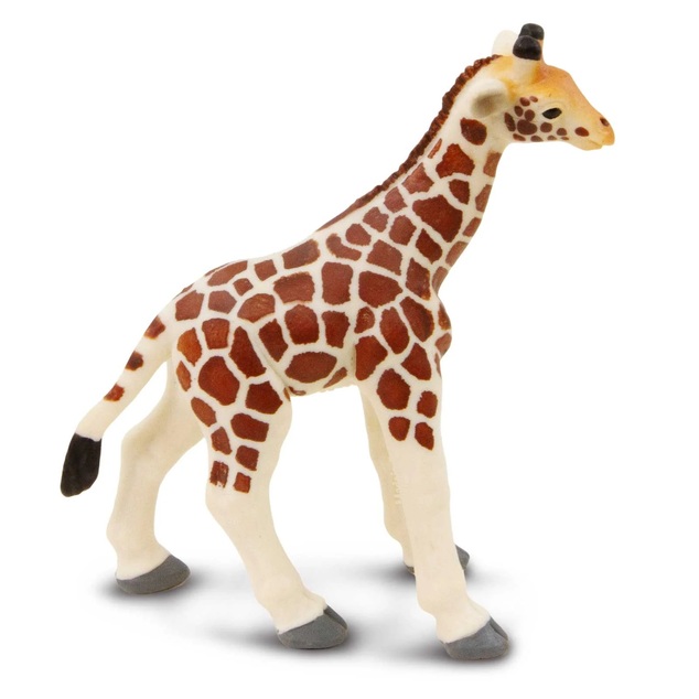 Safari® Mláďa žirafy