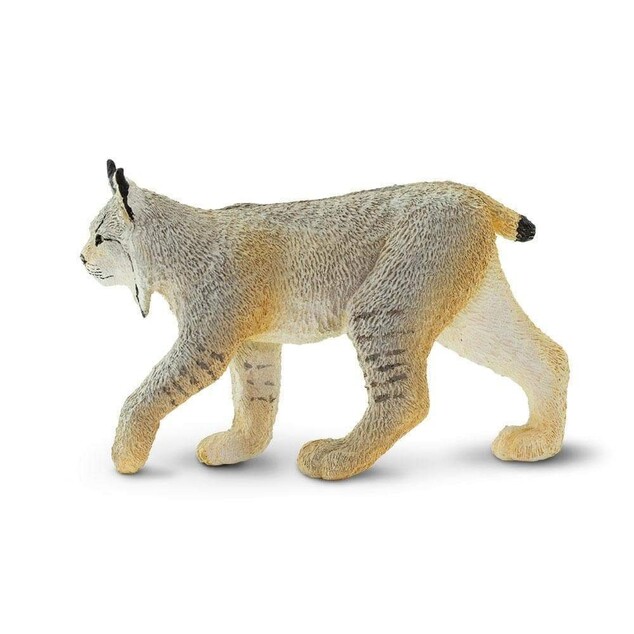 Safari® Kanadischer Luchs