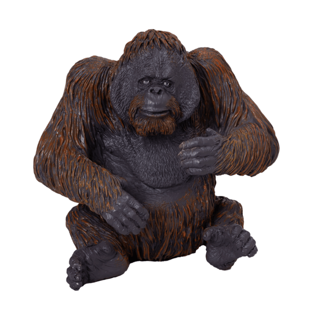 Moj orangutan
