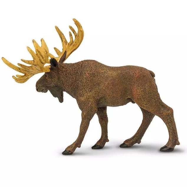 Safari® Los mokraďový