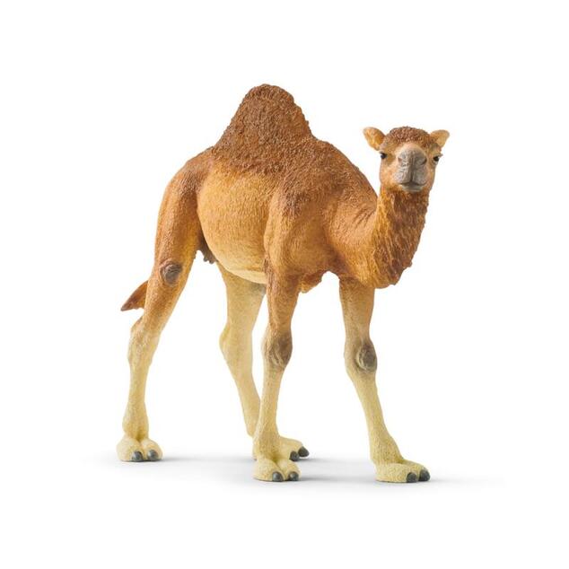 Schleich Dromedár