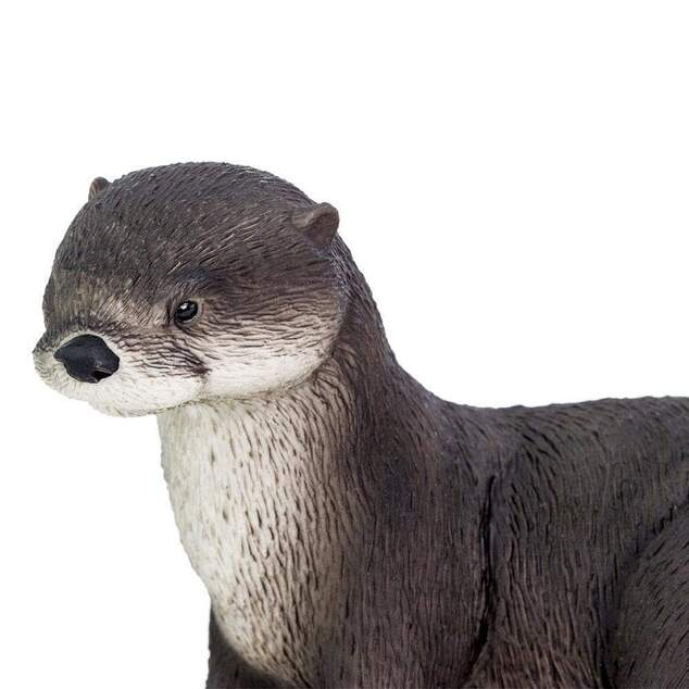 Safari® Vydra