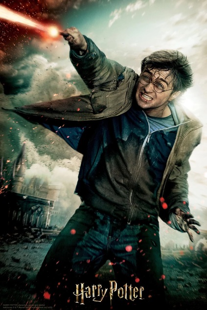 3D-Puzzle Harry Potter-Harry Potter 300 Teile