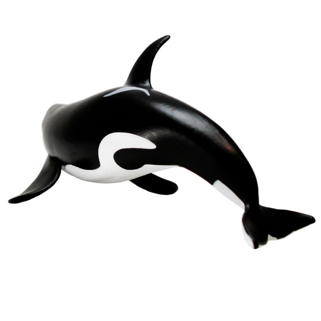 Safari® Orca typ D