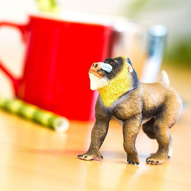 Safari® Mandril