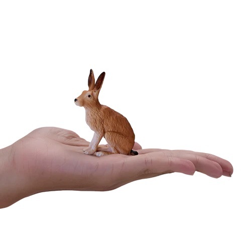 Mein sitzender Hase