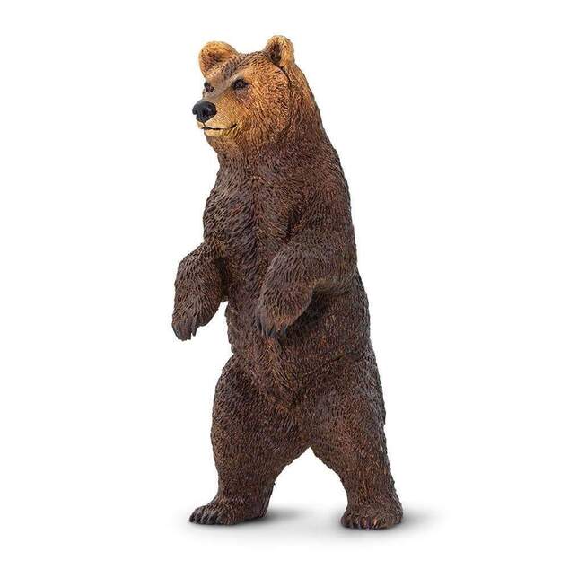Safari® Medveď grizzly