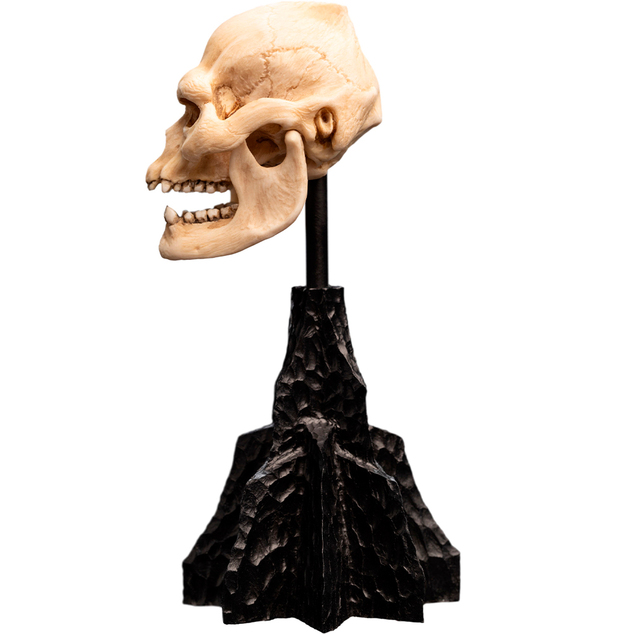 Weta Workshop Le Seigneur des Anneaux - Crâne de Lurtz Miniature