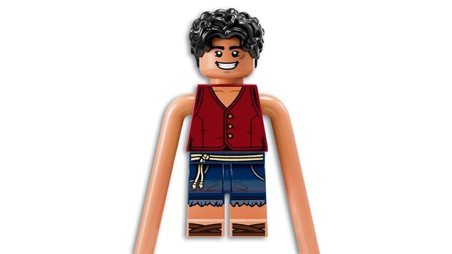 LEGO® One Piece 75638 Bitka v Arlongovom parku