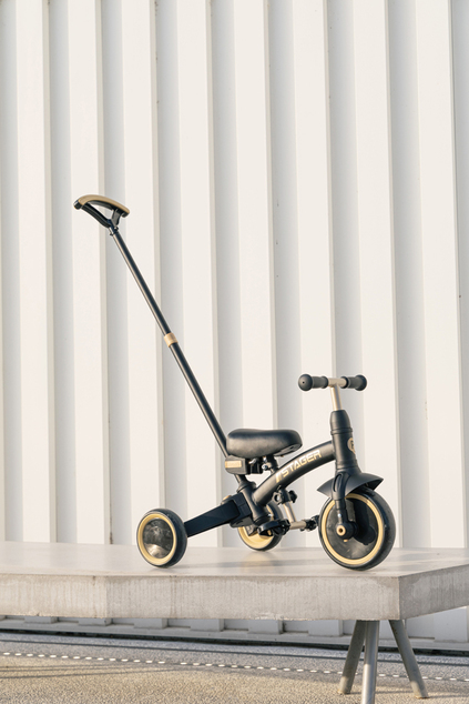 QPLAY Triciclo Stager 3 in 1 Platinum, 2-6 anni