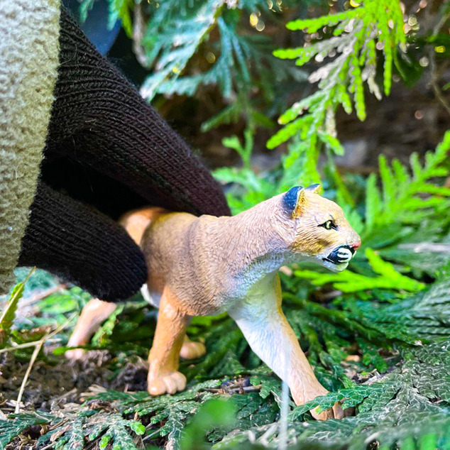 Safari® Amerikanischer Puma