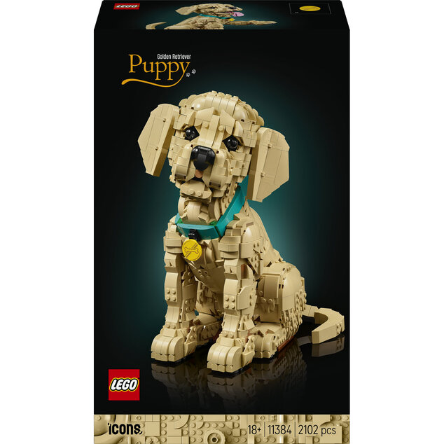 LEGO® Icons 11384 Šteňa zlatého retrievera