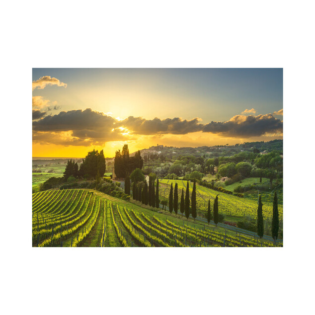 Puzzle Vinice Maremma 500 xl dielikov