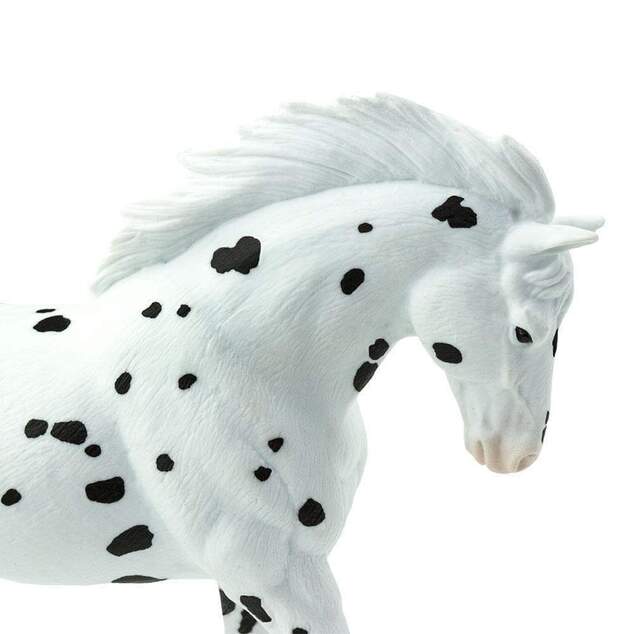 Safari® Knabstrupper kôň