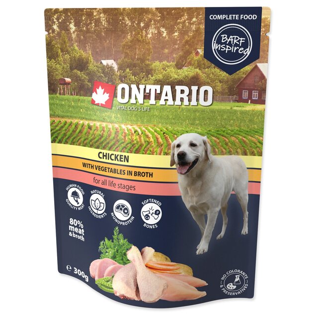 Kapsička Ontario kura so zeleninou vo vývare 300g
