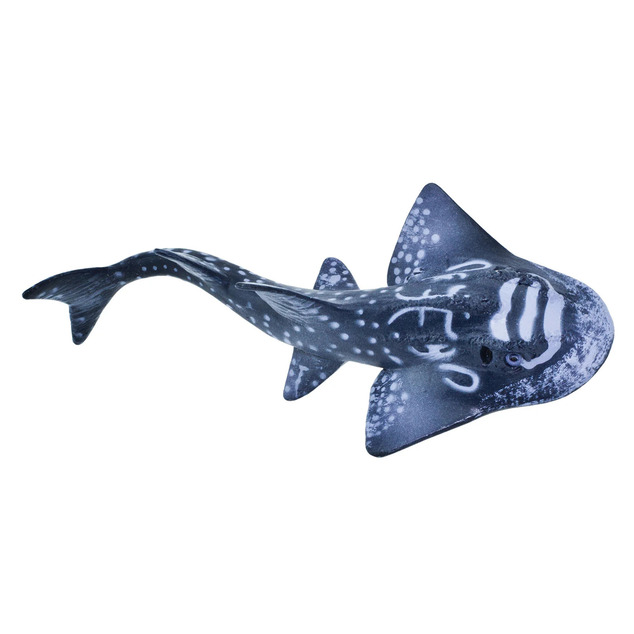 Safari® Žralok bowmouth guitarfish