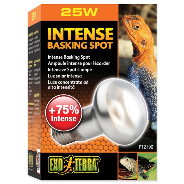 Žiarovka Exo Terra Intense Basking Spot 25W