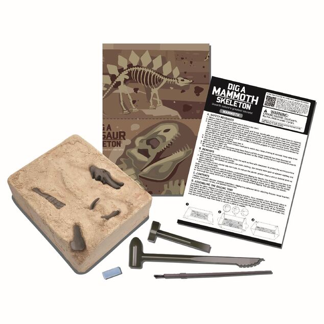 Skelet - Mamut
