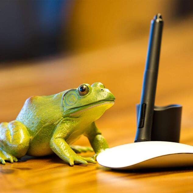 Safari® Skokan býčí