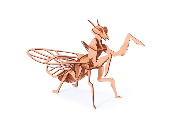 GRAINE CREATIVE 3D Puzzle Bogomolka 27 kosov