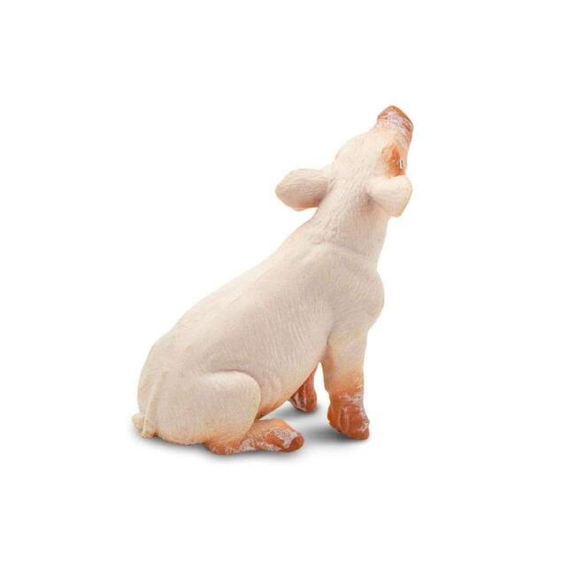 Safari® Mláďa ošípanej