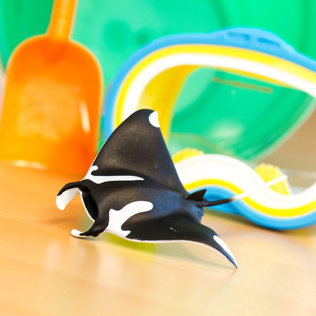 Safari® Manta raja A25
