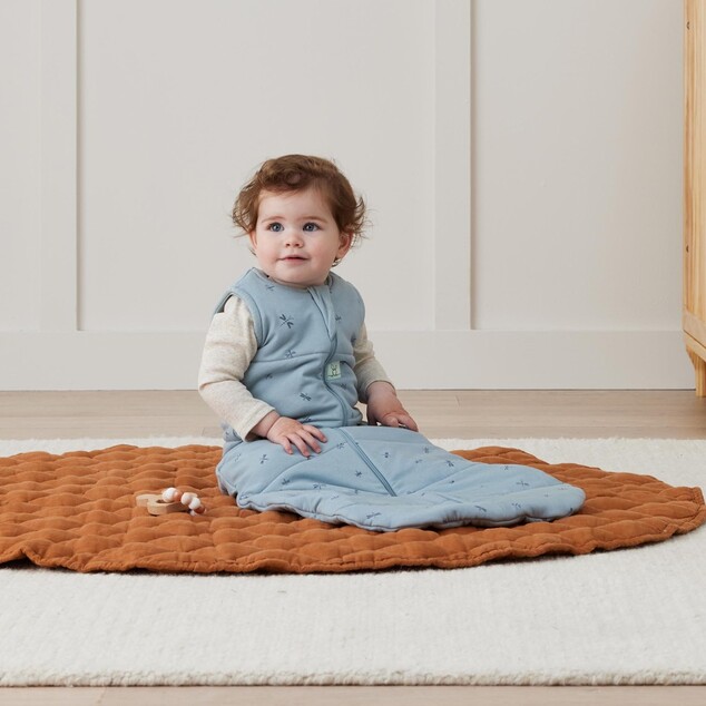 ERGOPOUCH Vak na spaní organická bavlna Jersey Dragonflies 8-24 m, 8-14 kg, 2,5 tog
