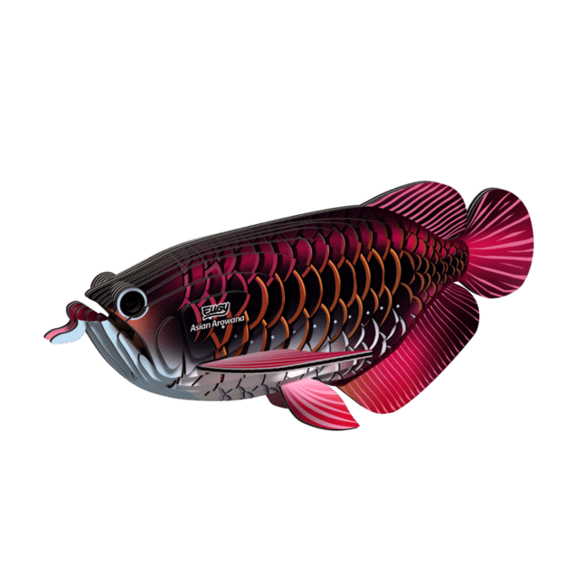 EUGY Arowana azijska 3D kartonasta sestavljanka
