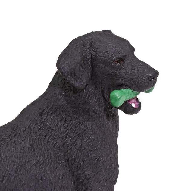 Safari® Čierny labrador