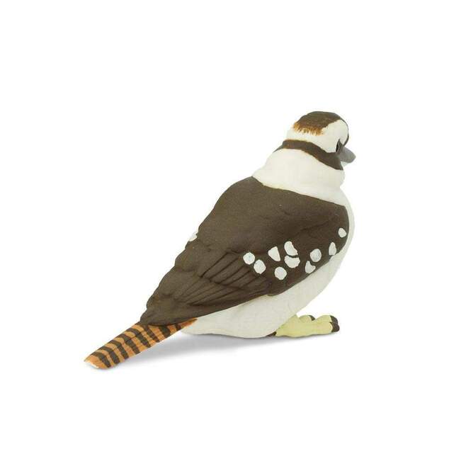 Safari® Kukačka