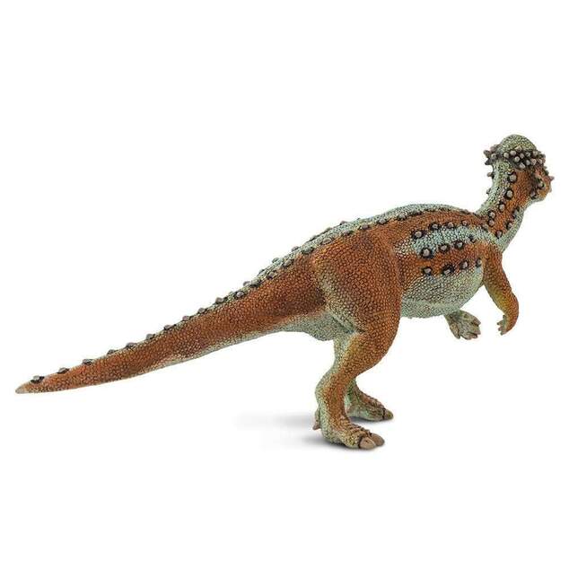 Safari® Pachycephalosaurus dinosaurus