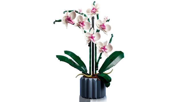 LEGO® Botanicals 10311 Orhidee