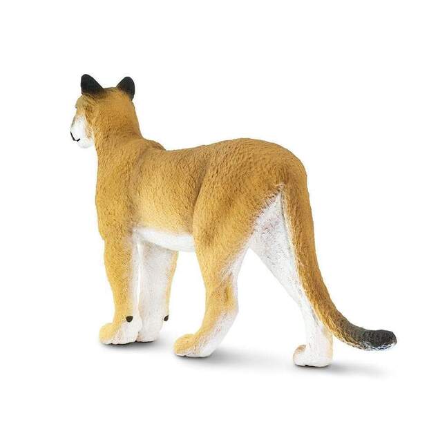 Safari® Puma floridská