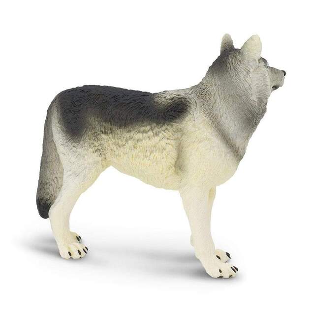 Safari® Vlk