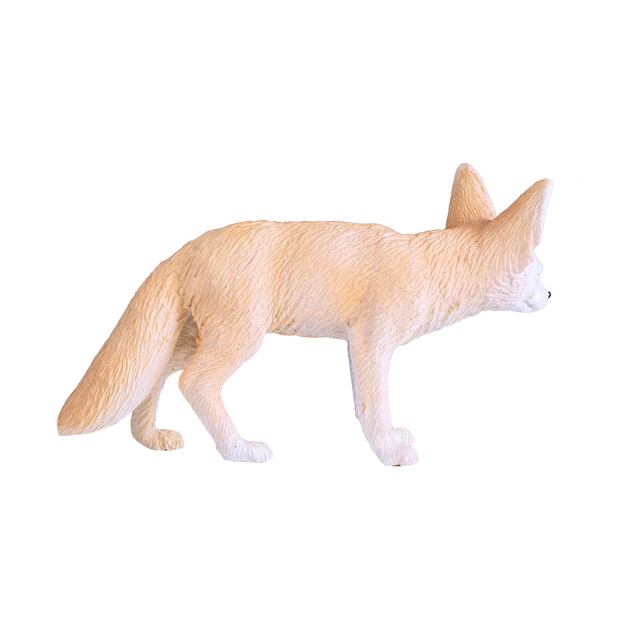 Il mio Fennec di Volpe