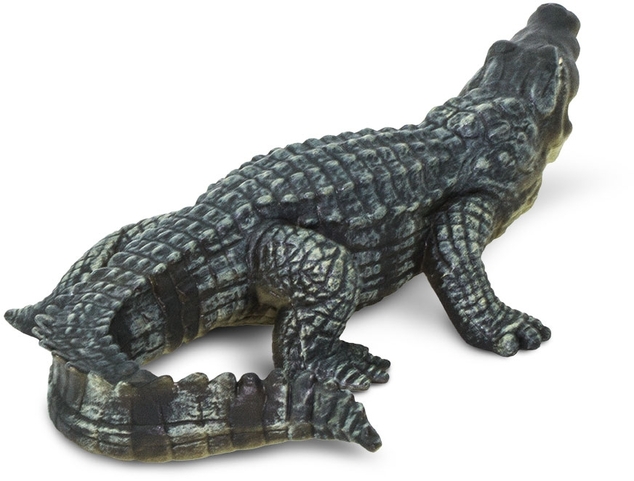 Safari® Krokodil