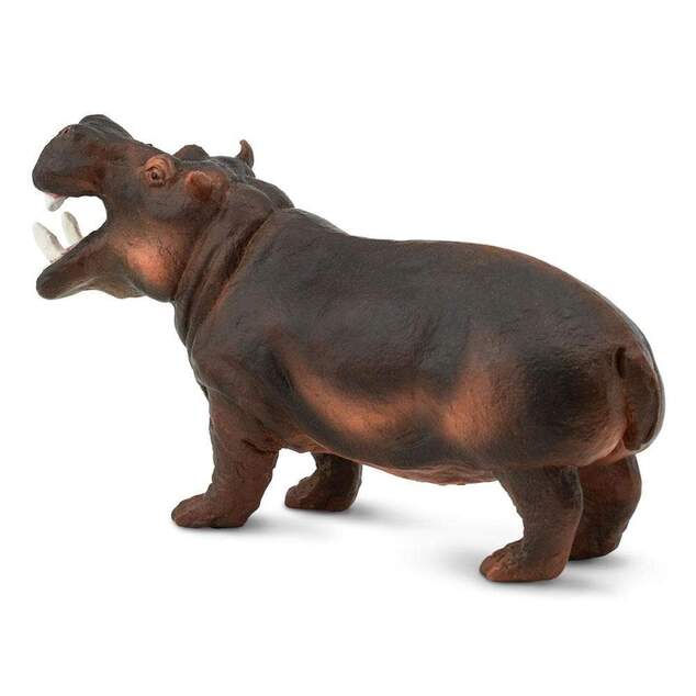 Safari® Hroch obojživelný