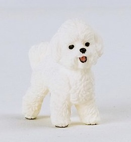 Schleich Bišón frisé