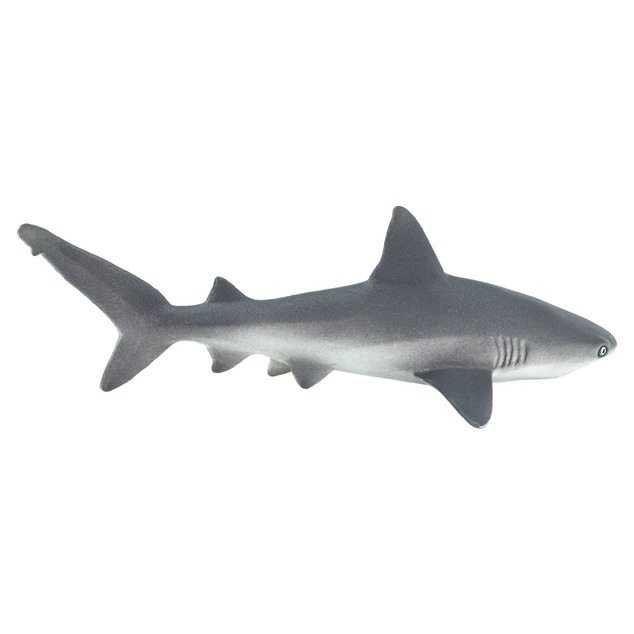 Safari® Grauer Riffhai