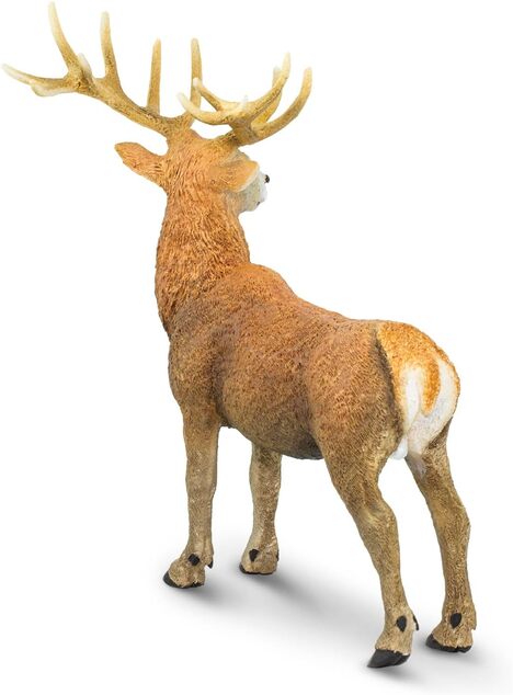 Safari® Jeleň červený