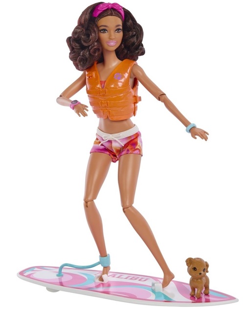 Mattel Barbie Surfistka s doplnkami