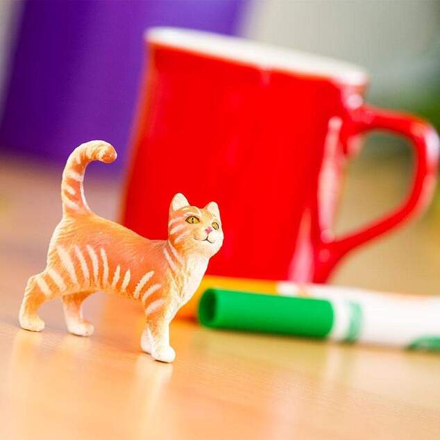 Safari® Mačka Tabby