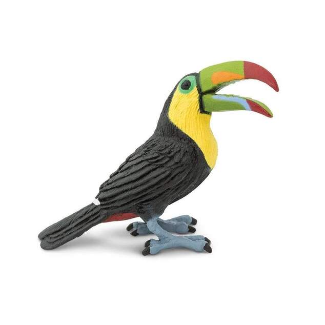 Safari® Tukan