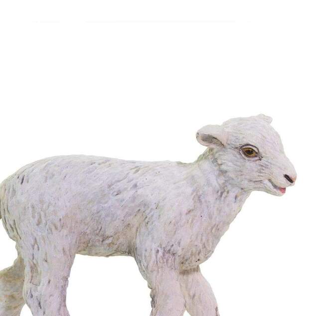 Safari® Mláďa ovce
