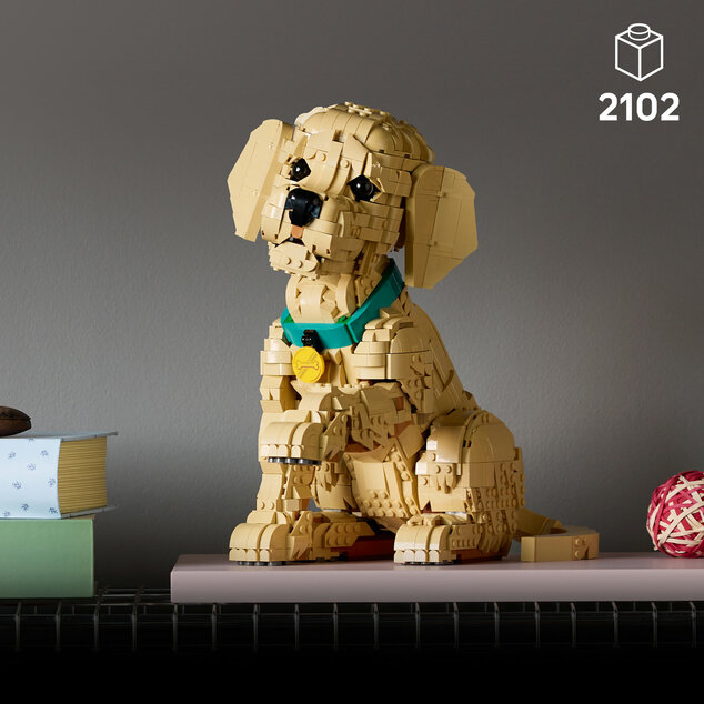 LEGO® Icons 11384 Šteňa zlatého retrievera