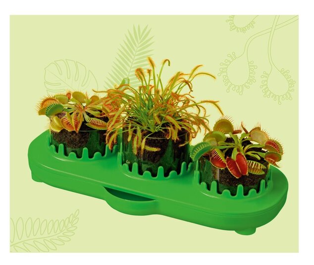 Piante carnivore - mini serra per bambini