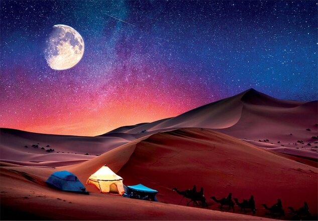 Puzzle 500 dielikov Peace - Starry night dream